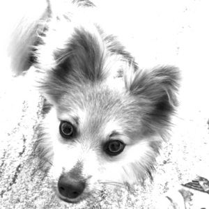 Meet your Posher, Karen